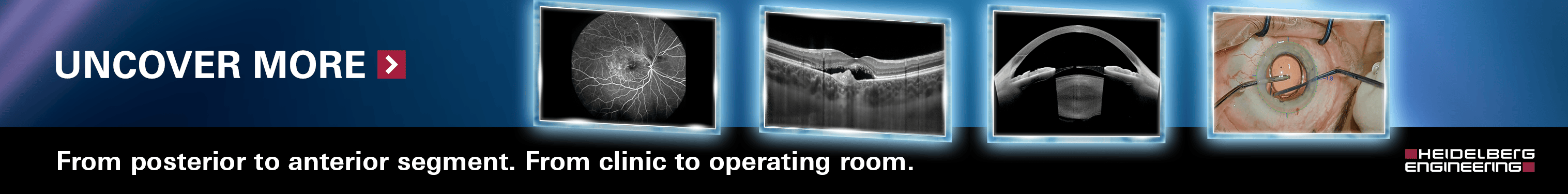 Floretina Banner